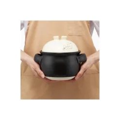 Online Banko-yaki Rice Pot 1000ml - My Neighbor Totoro Kitchenware