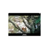Clearance Clear File A4 Kodama's forest - Princess Mononoke Storage