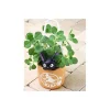 New PLANTER JIJI -KIKI'S DELIVERY SERVICE Décoration
